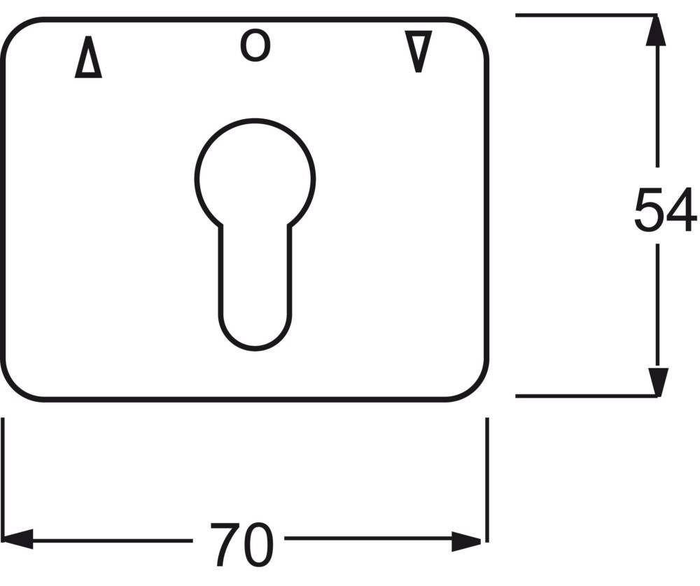 Busch-Jaeger Zentralscheibe elf/ws 1755 PZ-22G-10