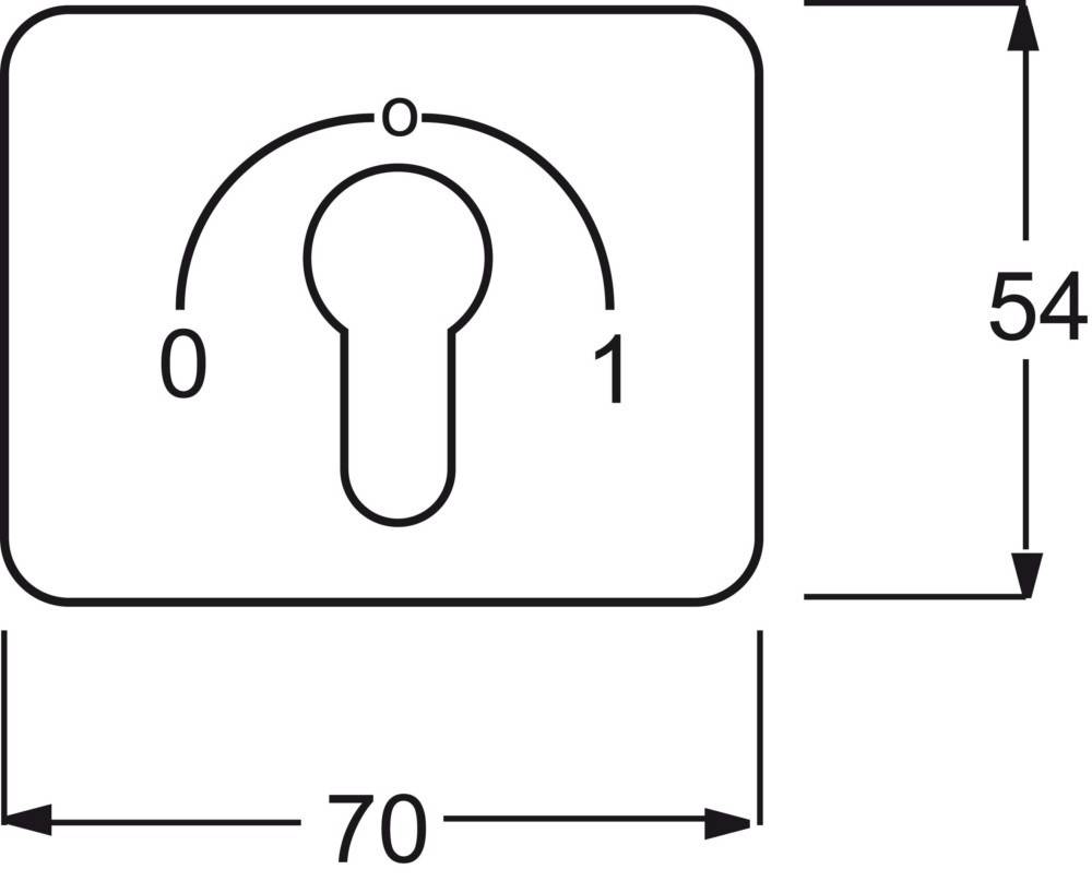 Busch-Jaeger Zentralscheibe ws 1755 SLPZ-22G-101