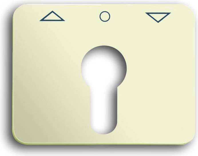 Busch-Jaeger Zentralscheibe elf/ws 1755 PZ-22G-101