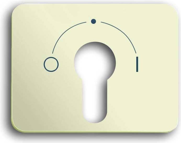 Busch-Jaeger Zentralscheibe ws 1755 SLPZ-22G-101