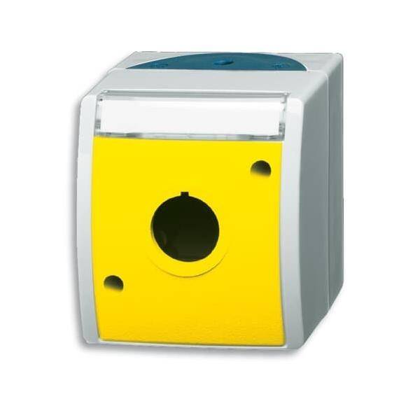 Busch-Jaeger Leergehäuse grau/blaugrün 2533 WN-15-53