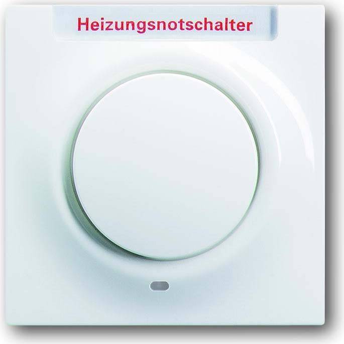 Busch-Jaeger Zentralscheibe aws 1789 H-74-101
