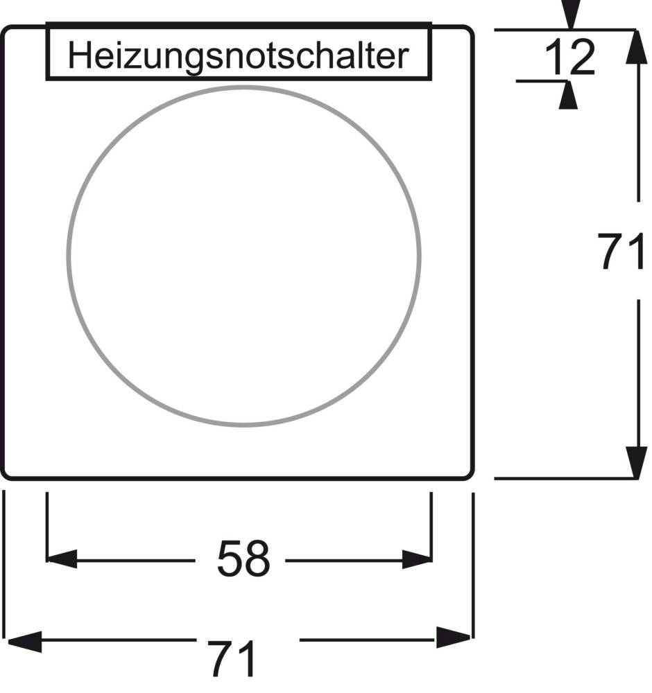 Busch-Jaeger Zentralscheibe elf/ws 1789 H-72-101