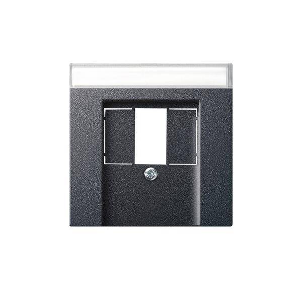 Gira Zentralplatte TAE anth 087628