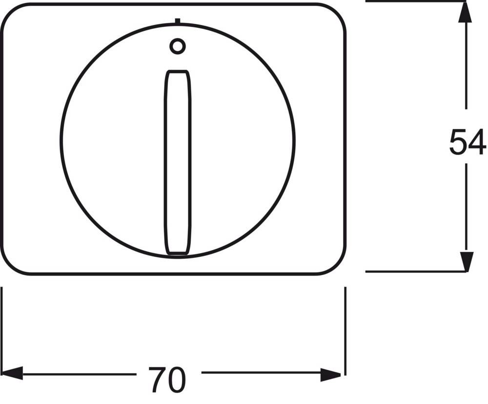 Busch-Jaeger Zentralscheibe stws gl 1770-24G-101