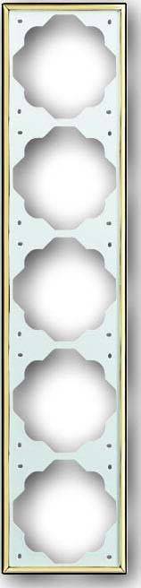 Busch-Jaeger Rahmen 5-fach 1725-73