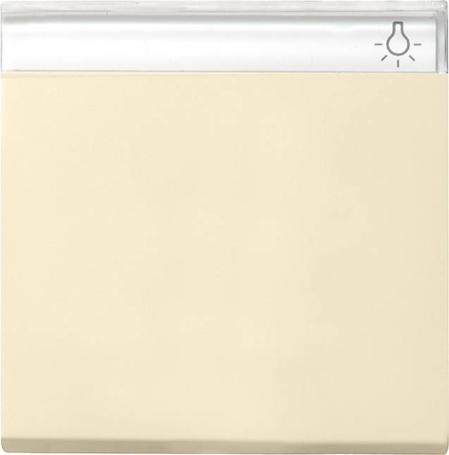 Gira Wippe Wechselsch. cws-gl 029901