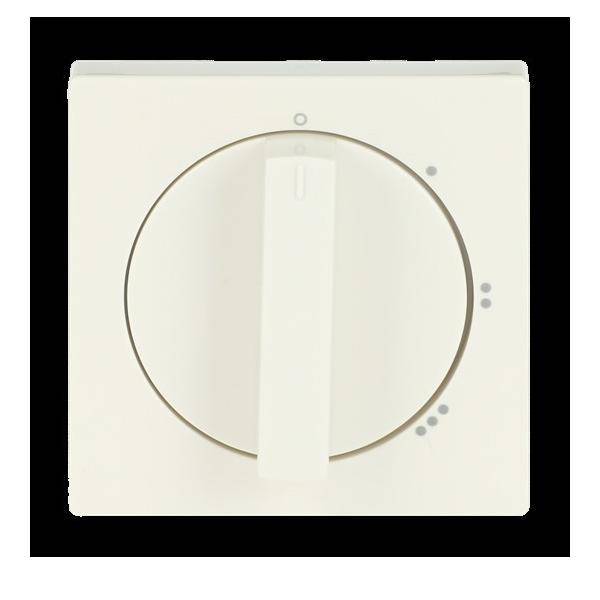 Busch-Jaeger Zentralscheibe elf/ws 2542 DR/01-82