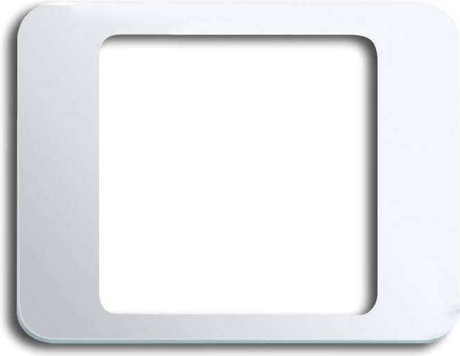 Busch-Jaeger Zentralscheibe stws gl 1716-24G