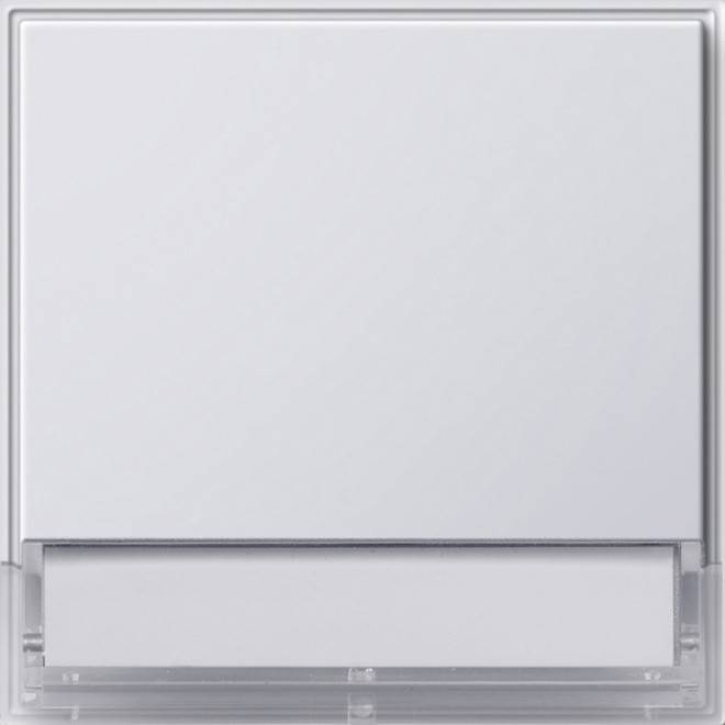 Gira Wippe Wechselsch. rws 067666
