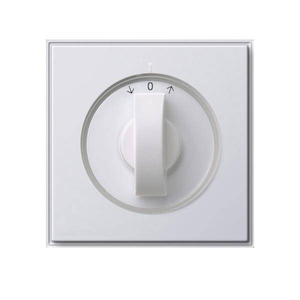 Gira Abdeckung m.Knebel rws 066666