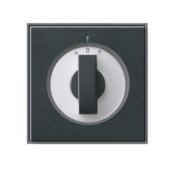 Gira Abdeckung m.Knebel anth 066667