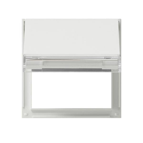 Gira Zentralplatte Klappd. rws 068066