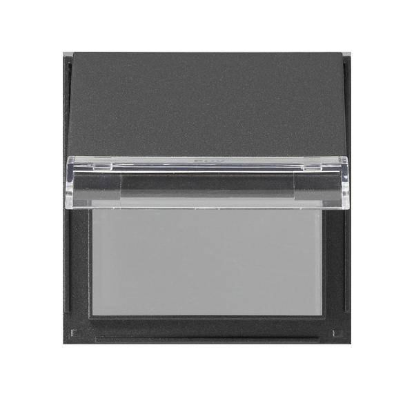 Gira Zentralplatte Klappd. anth 068067