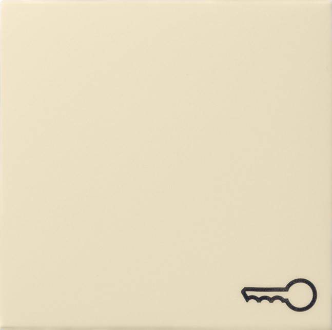 Gira Wippe Tür cws-gl 028701