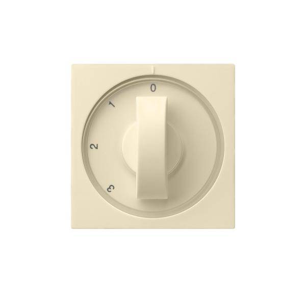 Gira Zentralplatte cws-gl 066901