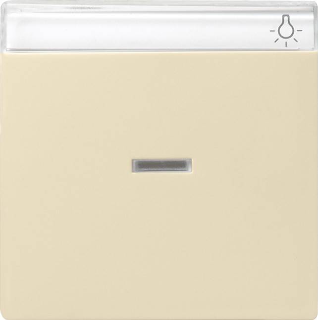 Gira Wippe Kontoll. cws-gl 067001