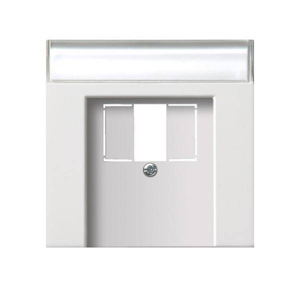Gira Zentralplatte TAE rws-gl 0876112