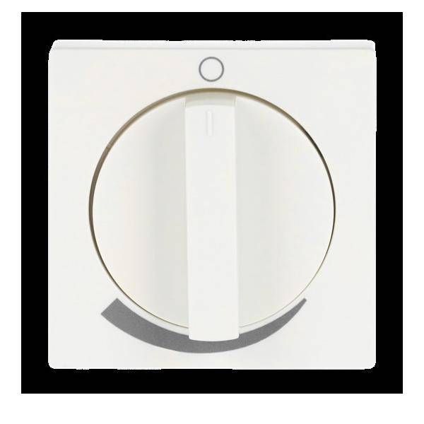 Busch-Jaeger Zentralscheibe sav/elfws 1740 DR/03-82