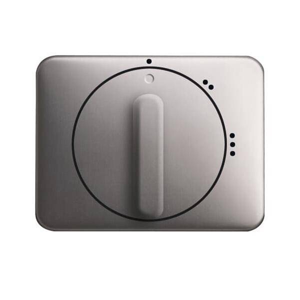 Busch-Jaeger Zentralscheibe pla 2542 DR/02-20