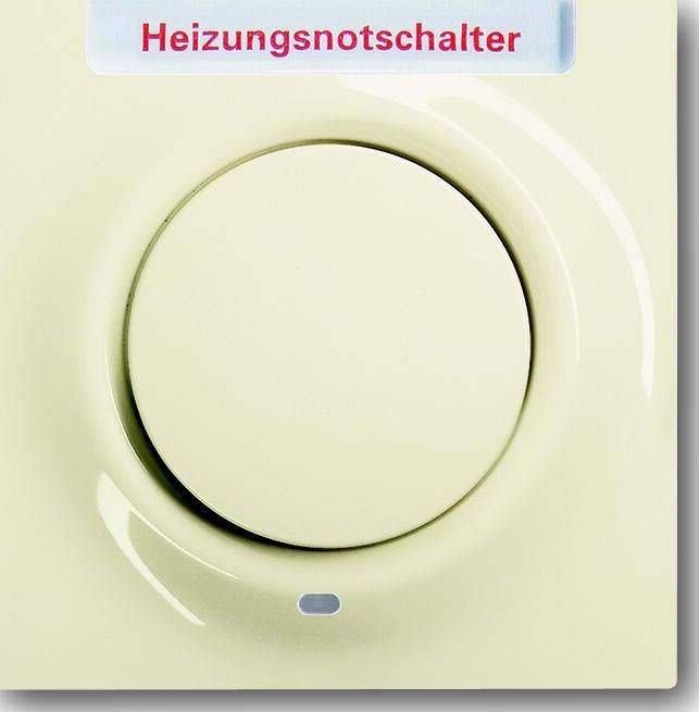 Busch-Jaeger Zentralscheibe elf/ws 1789 H-72-101