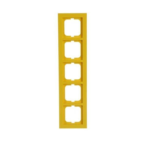 Busch-Jaeger Rahmen 5-fach 1725-285