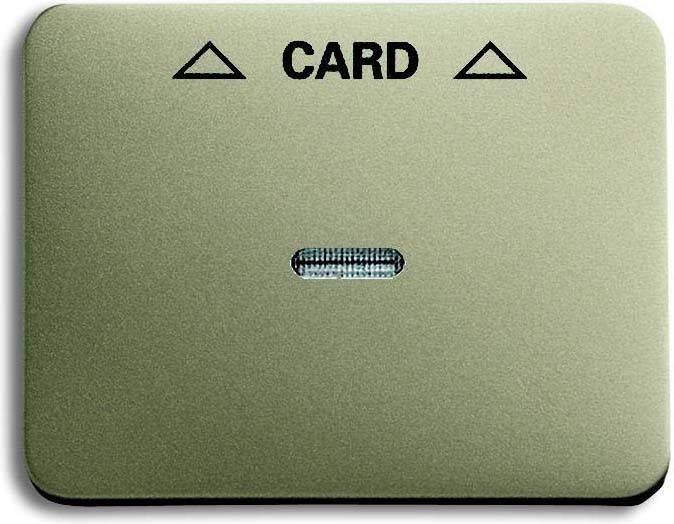 Busch-Jaeger Zentralscheibe pall 1792-260-101