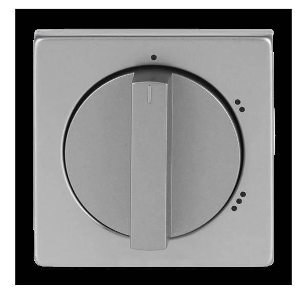 Busch-Jaeger Zentralscheibe eds 2542 DR/02-866