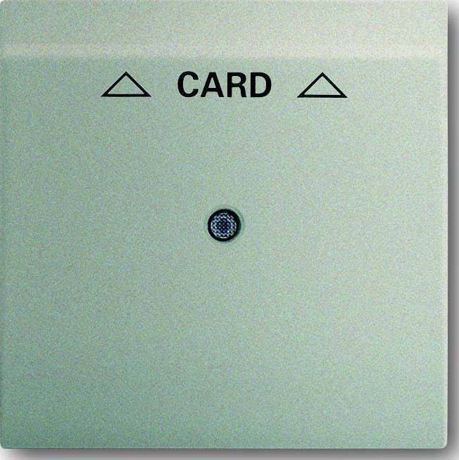 Busch-Jaeger Zentralscheibe cham 1792-79