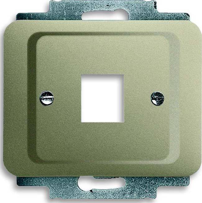 Busch-Jaeger Zentralscheibe pall 2561-260