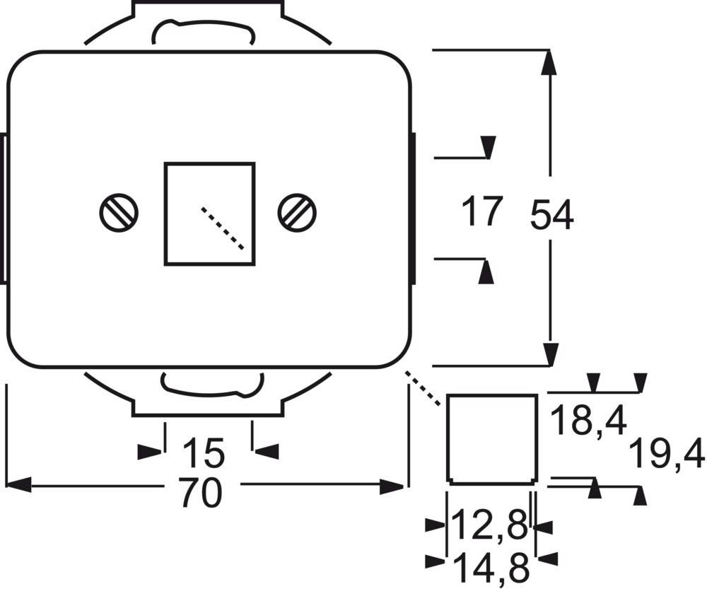 Busch-Jaeger Zentralscheibe pla 2561-20