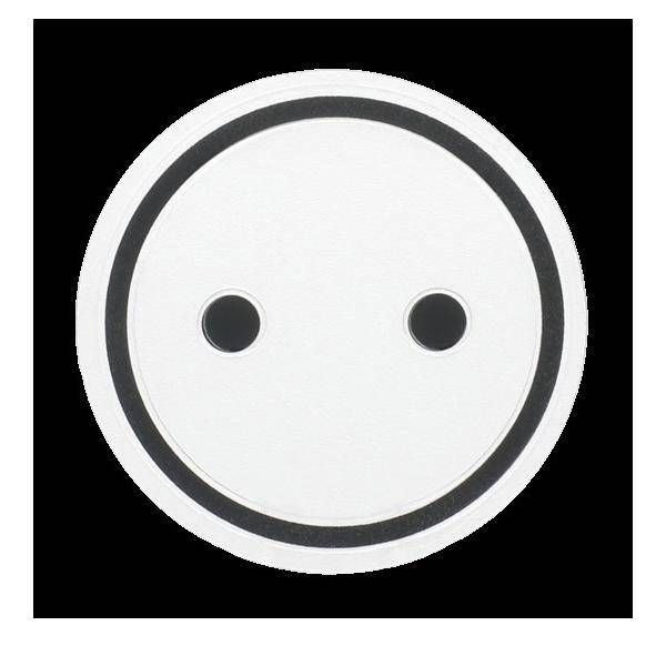 Busch-Jaeger Tastersymbol 2144 ST