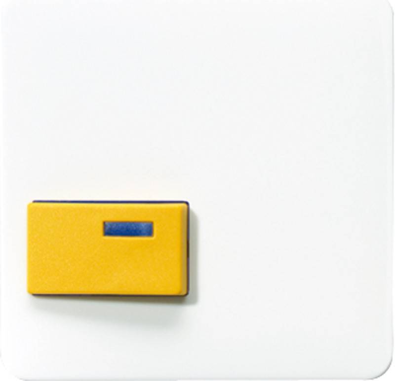 Jung Abdeckung aws CD 642 D WW