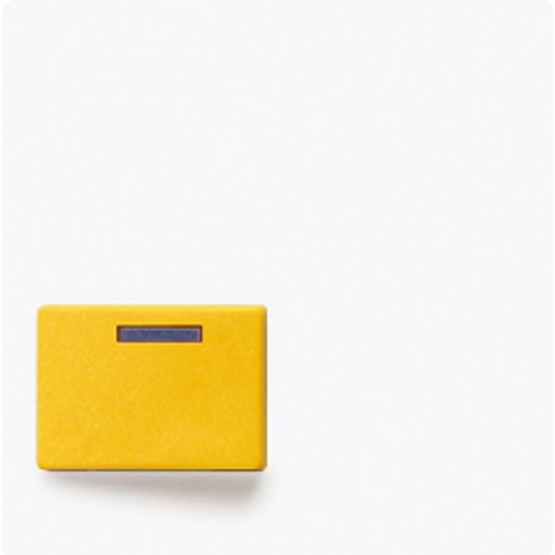 Jung Abdeckung aws A 642 D WW