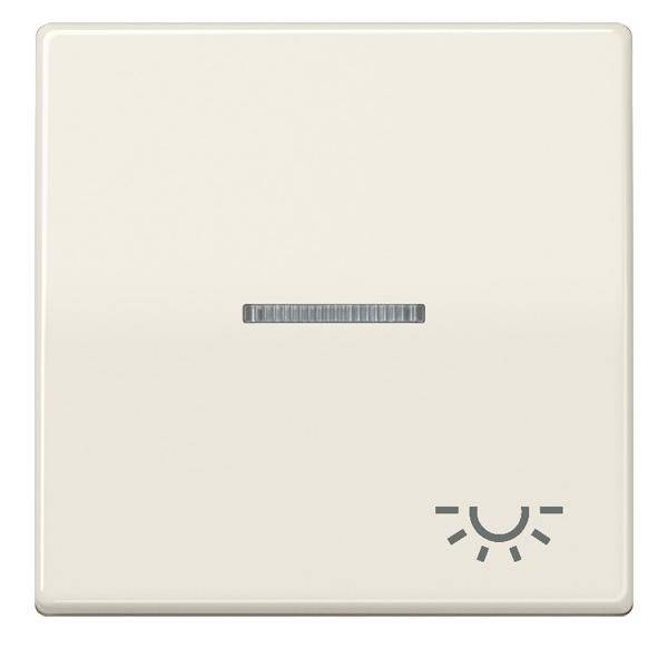 Jung Wippe Symbol LICHT ws ABAS 591 KO5L