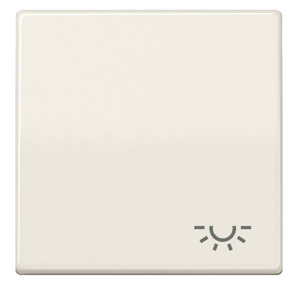 Jung Wippe Symbol LICHT ws ABAS 591 L