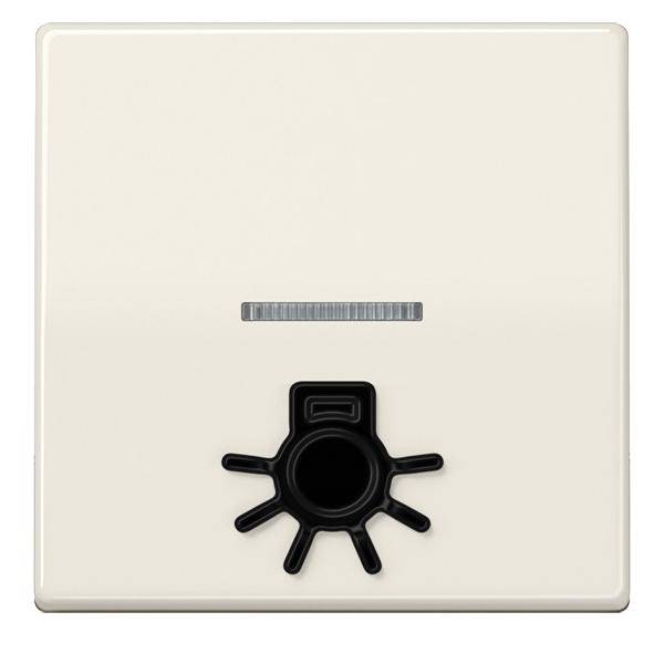 Jung Wippe abt.Symbol LICHT ws ABAS 591 L1KO5