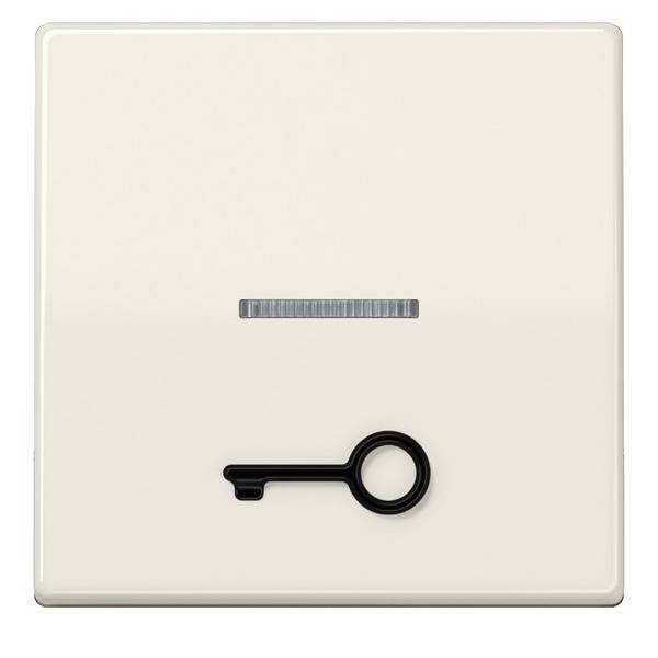 Jung Wippe abt.Symbol TÜR ws ABAS 591 T1KO5
