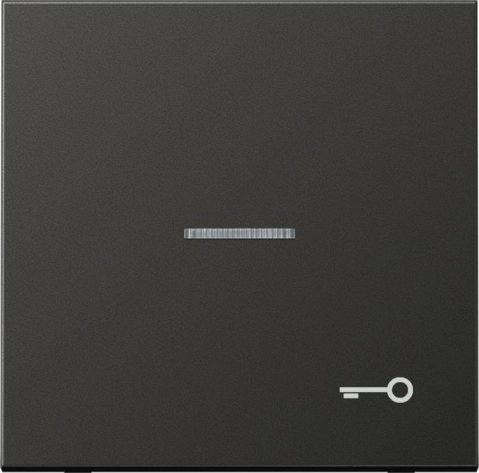 Jung Wippe Symbol TÜR anth AL 2990 KO5 T AN