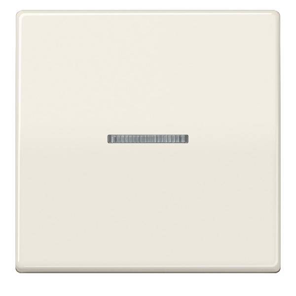 Jung Wippe Lichtleiter ws AS 591 KO5BFS