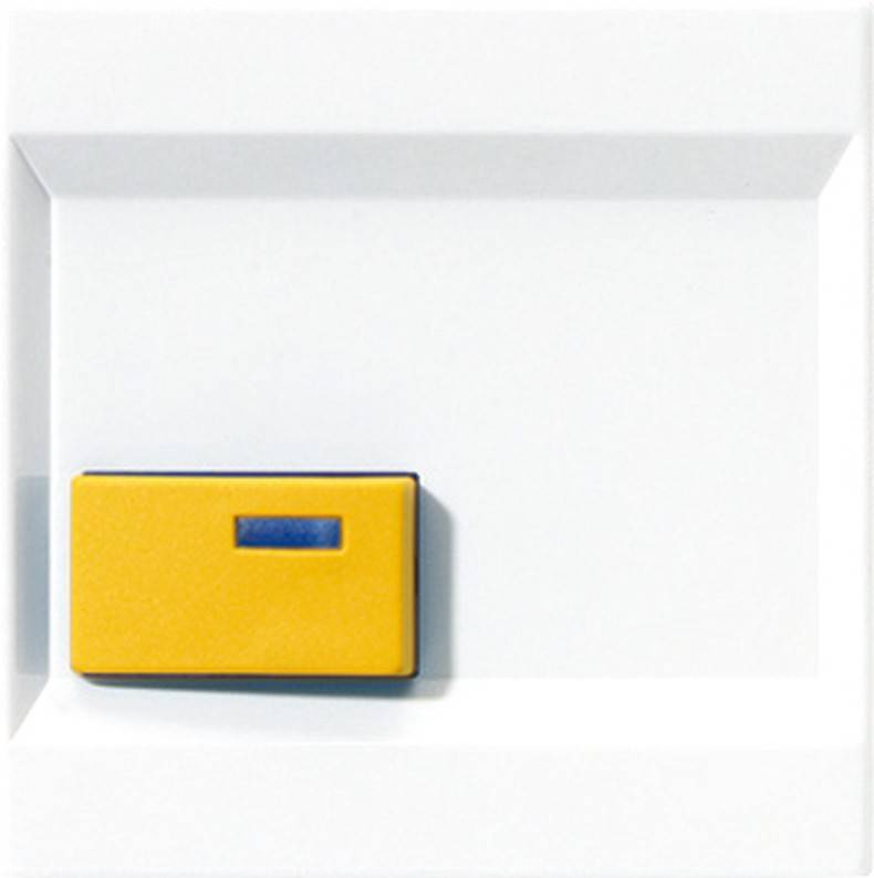 Jung Abdeckung aws LS 642 D WW