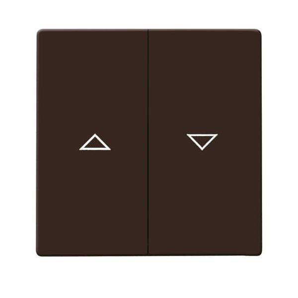 Busch-Jaeger Wippe braun 2126-31