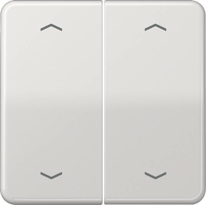Jung Wippe Symbole lgr CD 595 MP LG
