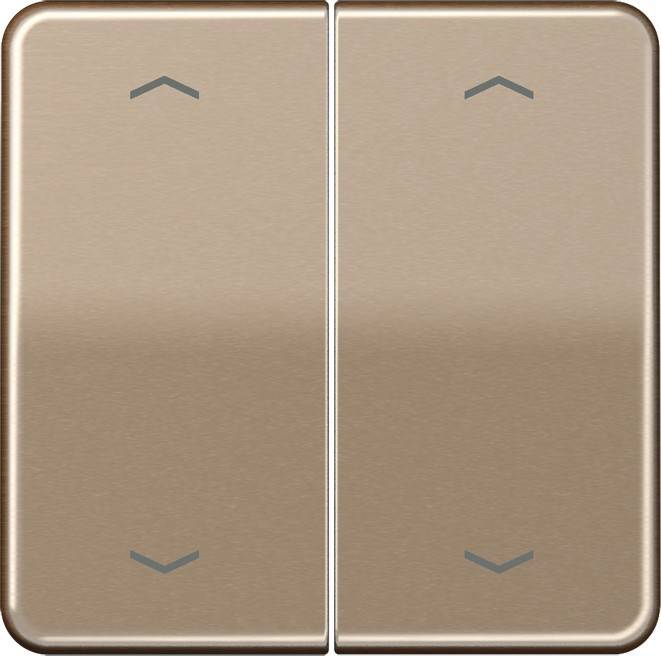Jung Wippe Symbole gold brz CD 595 MP GB