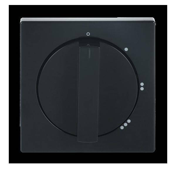 Busch-Jaeger Zentralscheibe anth 2542 DR/01-81