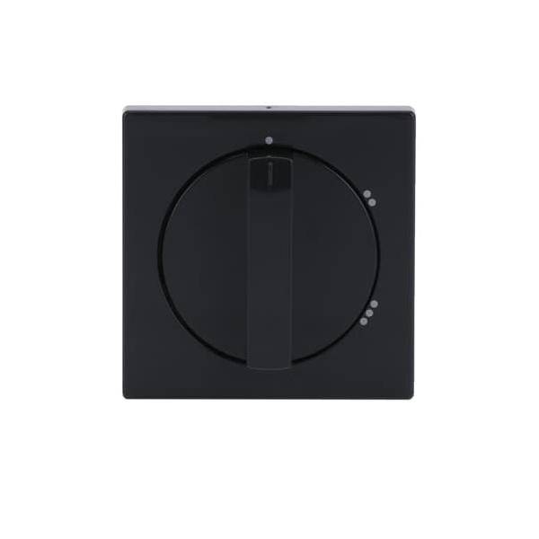 Busch-Jaeger Zentralscheibe anth 2542 DR/02-81