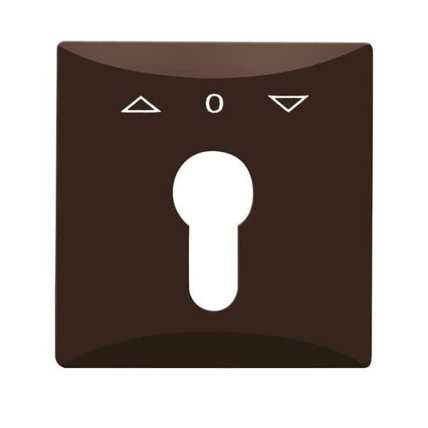 Busch-Jaeger Zentralscheibe braun 2155 PZ-31