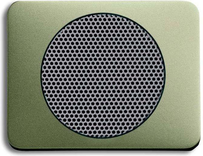 Busch-Jaeger Zentralscheibe palladium 8253-260