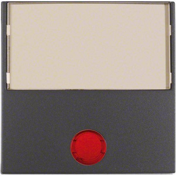 Berker Wippe anth matt 16961606