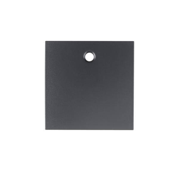 Berker Zentralstück anth 11461606